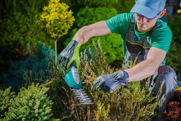 landscaping services Superior